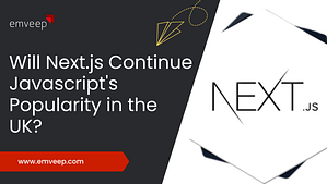 Nextjs programming language