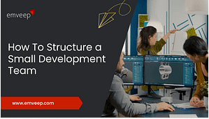 custom software development team structure