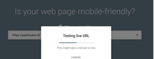 live url on google mobile friendly